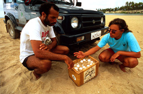 TAMAR biologist with fisherman, two partners in a WWF-Brazil project to determine the status and ... / ©: Juan Pratginestos / WWF-Canon / ©: Juan Pratginestos / WWF-Canon