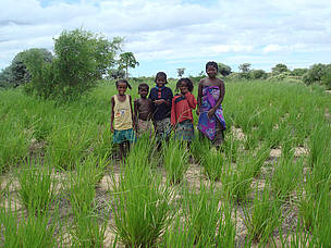 Five of Emile Jean's eleven children.