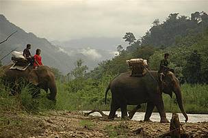 A Karen family travels to a neighboring village by elephant. / ©: Passanan Cutter / ©: Passanan Cutter