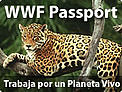 Trabaja por un Planeta Vivo / ©: WWF-Canon / Y.-J. Rey MILLET / ©: WWF-Canon / Y.-J. Rey MILLET