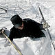 Sometimes it's tough going! A researcher struggles through the deep snow during a patrol of tiger habitat in the Amur-Heilong landscape, China. © WWF-China