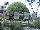 Africa pavilion at the Durban climate conference.  / &copy;: WWF