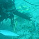 Bella Sheila Albasin of the Philippines awarded a scholarship for her final year MSc in Marine Science at University of the Philippines, seen here conducting seagrass monitoring © Bella Sheila Albasin