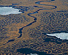 Permafrost tundra, Kolyma delta, Siberia, Russia.