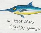 Besides its ecological value, swordfish is also of high commercial interest, as it is widely consumed in many Mediterranean countries.