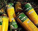 New chemicals regulations in the EU will lead to safer products around the world.