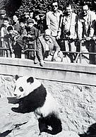  / &copy;: WWF-Canon / WWF Intl.