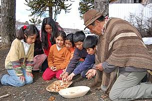  / &copy;: WWF Chile