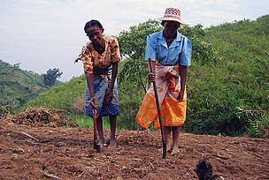Philomène and friend planting peanuts. Tsaratanana, near Vondrozo. / ©: WWF-MWIOPO / M. Lippuner / ©: WWF-MWIOPO / M. Lippuner
