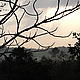 Morning in Pench... © WWF/Kees van der Vlugt