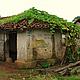 A tiger painting on a house in a project village © WWF/Kees van der Vlugt