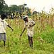 Villagers showing wildlife damage © WWF/Kees van der Vlugt