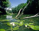 Danube Floodplain National Park / Austria