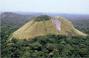 Typical inselberg in the Minkebe Forest / ©: Projet DACEFI / ©: Projet DACEFI