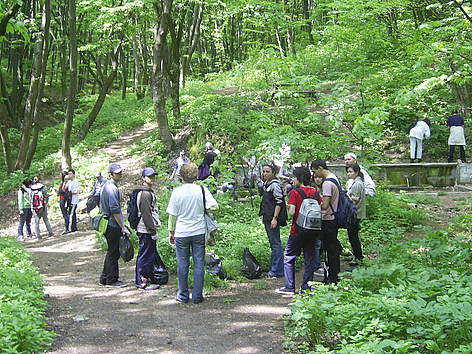 Шуменско плато по време на Националния ден на Природните паркове 2011 г. / ©: Shumensko Plato Nature Park archive Volunteers in Shumensko Plato Nature Park during WWF's National Day of the Nature Parks 2011 / ©: Shumensko Plato Nature Park archive