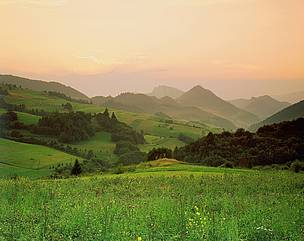Carpathian Mountains in eastern Slovakia - Polana National Park / ©: Popp & Hackner / WWF / ©: Popp & Hackner / WWF
