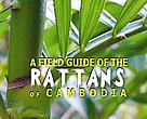 Rattans of Cambodia, guide