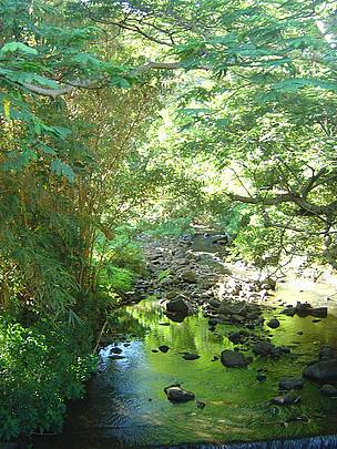 Taken from a walking bridge near my home. The bridge was detroyed in 2004 when a 50-year flood tore through the valley.