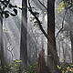 &copy; WWF / Hannah Chisholm