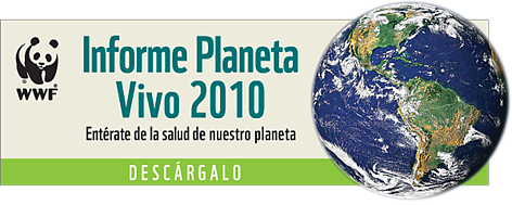 ¡Descarga el informe, léelo y actúa! / ©: WWF / ©: WWF