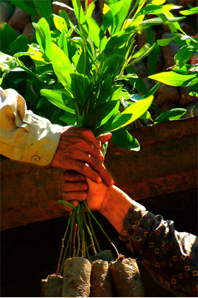 / &copy;: WWF Greater Mekong Programme