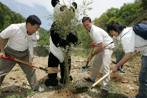 Corridor over highway When national highway 108 was re-routed with a tunnel, WWF and the Shaanxi ... / ©: WWF China Bamboo planting ceremony / ©: WWF China
