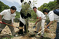 Bamboo planting ceremony / &copy;: WWF China