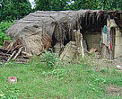 A house half-damaged by an elephant. Conflict with elephants causes death and suffering for many marginal poor communities living close to wildlife areas.