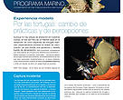 Por las tortugas: cambio de prácticas y de percepciones