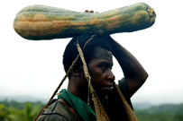 Woman carrying pumpkin. / ©: Brent Stirton/Getty Images/WWF-UK Woman carrying pumpkin. / ©: Brent Stirton/Getty Images/WWF-UK