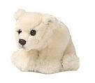 Majestic creature of the far north, the polar bear is the world's largest terrestrial carnivore. / ©: Mimex / ©: Mimex