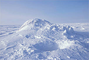 Polar bear den opening near the Alaska coast. / ©: US Fish and Wildlife Service / ©: US Fish and Wildlife Service