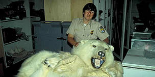 Polar bear, skin seized at customs / ©: WWF-Canon / Wil LUIIJF / ©: WWF-Canon / Wil LUIIJF