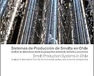 Sistemas de producción de smolt en Chile: Análisis de alternativas desde la perspectiva ambiental, sanitaria y económica