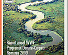 Raport anual 2009