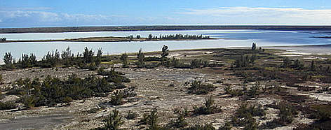 Beza-Mahafaly Plateau, Madagascar / ©: Thomas SCHULTZ-JAGOW / WWF-Canon rel=