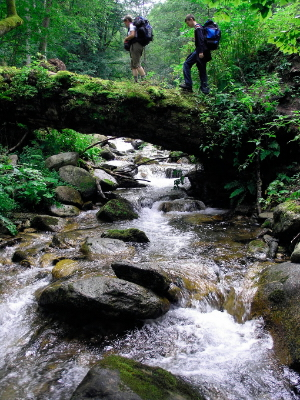 Hikers in Protected Area, Carpathian / ©: WWF-DCPO / ©: WWF-DCPO