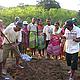 Première formation en culture de légumes avec lagent du WWF Donné, Amboangy © WWF / Henintsoa Ravoala