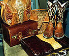 If you like those fancy cowboy boots or little evening bag, be aware that some native wild populations of crocodiles and snakes are in dire straits and critically endangered.