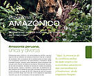 Programa Amazónico