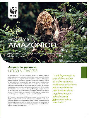 Programa Amazónico / ©: WWF Perú / ©: WWF Perú