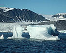 Arctic sea ice is under threat from global warmi