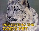 Protecting the god's pet