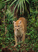  / &copy;: WWF-Canon / Anthony B. RATH