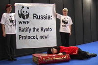  / &copy;: WWF