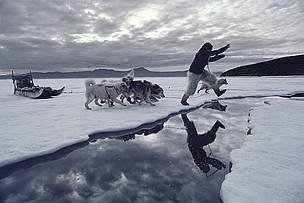  / &copy;: WWF / Bryan Alexander/www.arcticphoto.com