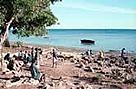Establishment of 7500 km2 Quirimbas National Park helps protect one of the richest areas of coral ... / &copy;: WWF-Canon / Lyn TRELOAR