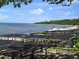 Seaweed drying is now a major income earner for the people of Onoilau / ©: WWF-SPPO / ©: WWF-SPPO