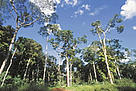  / &copy;: WWF-Canon / Eduardo Ruiz