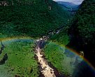 WWF Sweden is urging its government  to get behind an effective international agreement on halting forest loss.